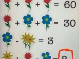 Школьная задача про цветы поставила пользователей в тупик