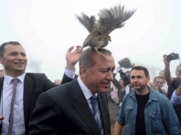 После поражения сборной Турции на Евро-2016 в соцсетях затроллили Эрдогана