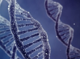От живых компьютеров к нанороботам: где еще можно применить ДНК?