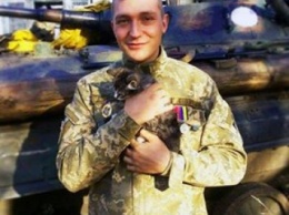 Бойцы АТО показали своих котов-вдохновителей (фото)
