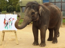 В Чехии слоны рисуют картины, чтобы прокормиться (фото)
