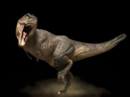 10 распространенных заблуждений о динозаврах