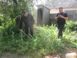В Киевской области ликвидировали наркоплантацию (фото)
