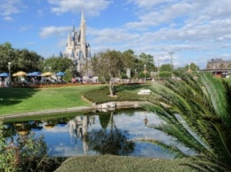 В Walt Disney World задумались о повышении безопасности посетителей