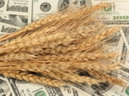 Украина экспортирует почти 39 миллионов тонн зерна