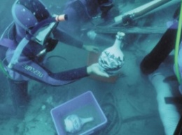 Австралийские ученые сварили пиво из дрожжей с двухсотлетнего затонувшего судна (фото)