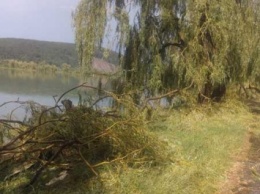 В Волынской обл. из-за урагана погиб 52-летний мужчина