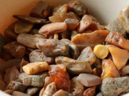 Более 340 кг янтаря изъяли в Житомирской области