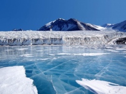 Ученые: Красные водоросли ускоряют таяние ледников Арктики