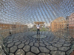 В Лондоне создана огромная инсталляция под управлением пчел (фото)