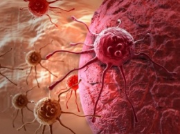 Ученые рассказали о распространении рака в организме человека