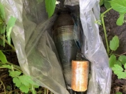 В кустах посреди Хмельницкого нашли боеприпасы (фото)