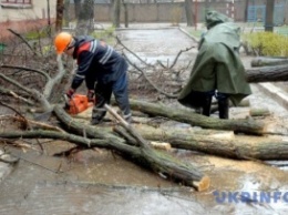 Ураган на Буковине обесточил 31 населенный пункт