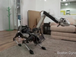 Хозяйственный и очень милый робот-собака от Boston Dynamics