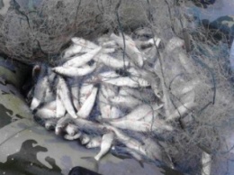 В Мариуполе на Кальчикском водохранилище задержали браконьера