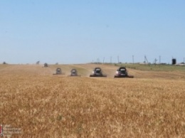 В Крыму в жатве - 2016 задействовано более 500 единиц зерноуборочной техники (ФОТО)