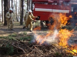 В Николаевской области спасатели четырнадцать раз тушили пожары сухой травы и мусора