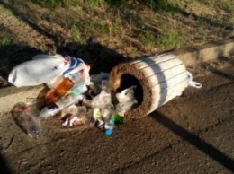 Пляжи Днепра: мешки с мусором и пивные бутылки на Монастырском (ФОТО)