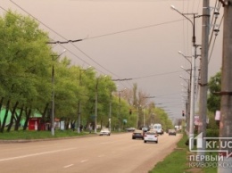 Погода в Кривом Роге на 29 июня