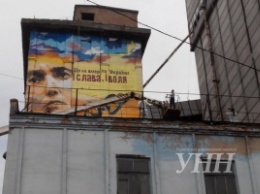 Культ личности: Савченко в Запорожье открыла граффити, изрбражающее ее саму