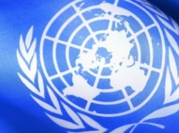 Боливия Швеция и Эфиопия попали в СБ ООН