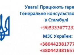 МИД проверяет, есть ли среди пострадавших в Стамбуле украинцы