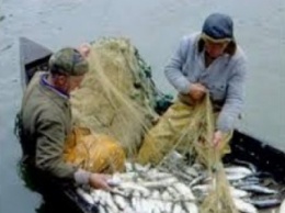 В черте Мариуполя рыбинспекция задержала 21 браконьера