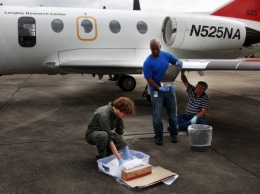 NASA и Boeing тестируют новую защиту для самолетов от насекомых