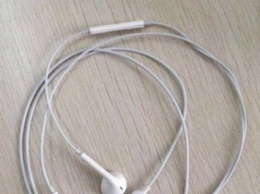 В Сети опубликовали фотоснимок наушников Apple EarPods с разъемом Lightning