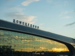 В «Домодедово» успешно приземлился самолет, в двигатель которого попала птица