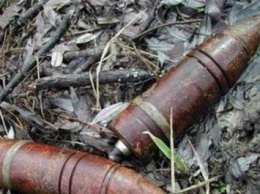 Взрывоопасные предметы нашли в Запорожской области