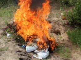 В Славянске сожгли наркотики на сумму 300 тысяч гривен