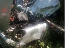 В Хмельницкой обл. автомобиль въехал в дерево: погибли три человека