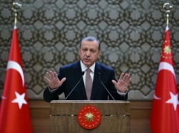 Эрдоган планирует предоставлять гражданство сирийским беженцам