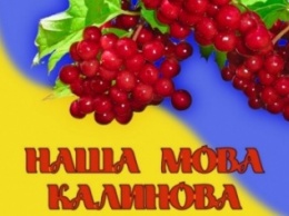 Депутат напомнил Криворожской мэрии, какой язык является государственным