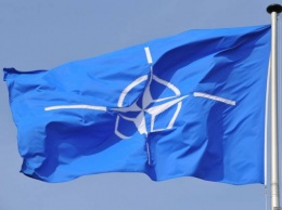 НАТО будет помогать Украине проводить реформы