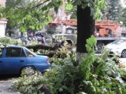 Поваленные деревья и разбитые автомобили: последствия вчерашнего ливня в Полтаве (ФОТО)