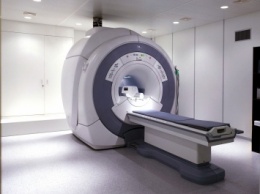 Баги для МРТ заставили усомнится в 40 тыс научных работ