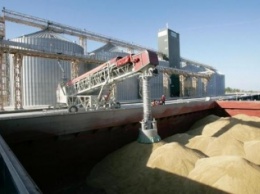 «Зерновой терминал Ника-Тера» заявил, что инвестиционный проект на 50 миллионов долларов в Николаеве оказался под угрозой срыва