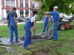 Завершены работы по обустройству системы автополива на зеленой зоне у Одесского оперного театра