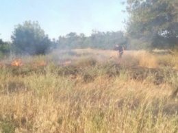 Вчера на Херсонщине тушили 14 пожаров