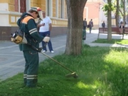 Власти Симферополя рассказали, где в городе будут косить траву в июле