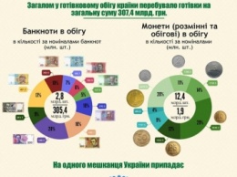 В НБУ посчитали наличные деньги украинцев (инфографика)