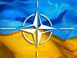 Эксперт рассказал о новых проектах сотрудничества Украины с НАТО