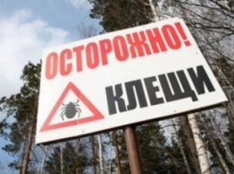 В Крыму 3 тыс человек обратились в больницу из-за укусов клещей