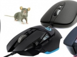 Топ игровых мышей в каталоге Onliner.by
