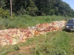 Водитель устроил в Черниговской области свалку «колбасных» отходов