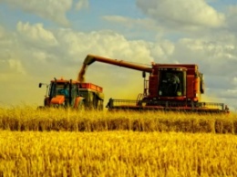 Аграрии собрали 4,5 миллиона тонн урожая зерновых