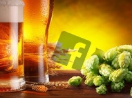 Лондон: cпециальный алгоритм займется улучшением вкуса пива