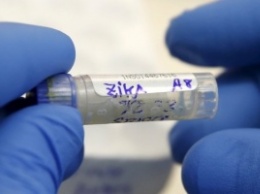 В США погиб первый пациент, заразившийся вирусом Зика